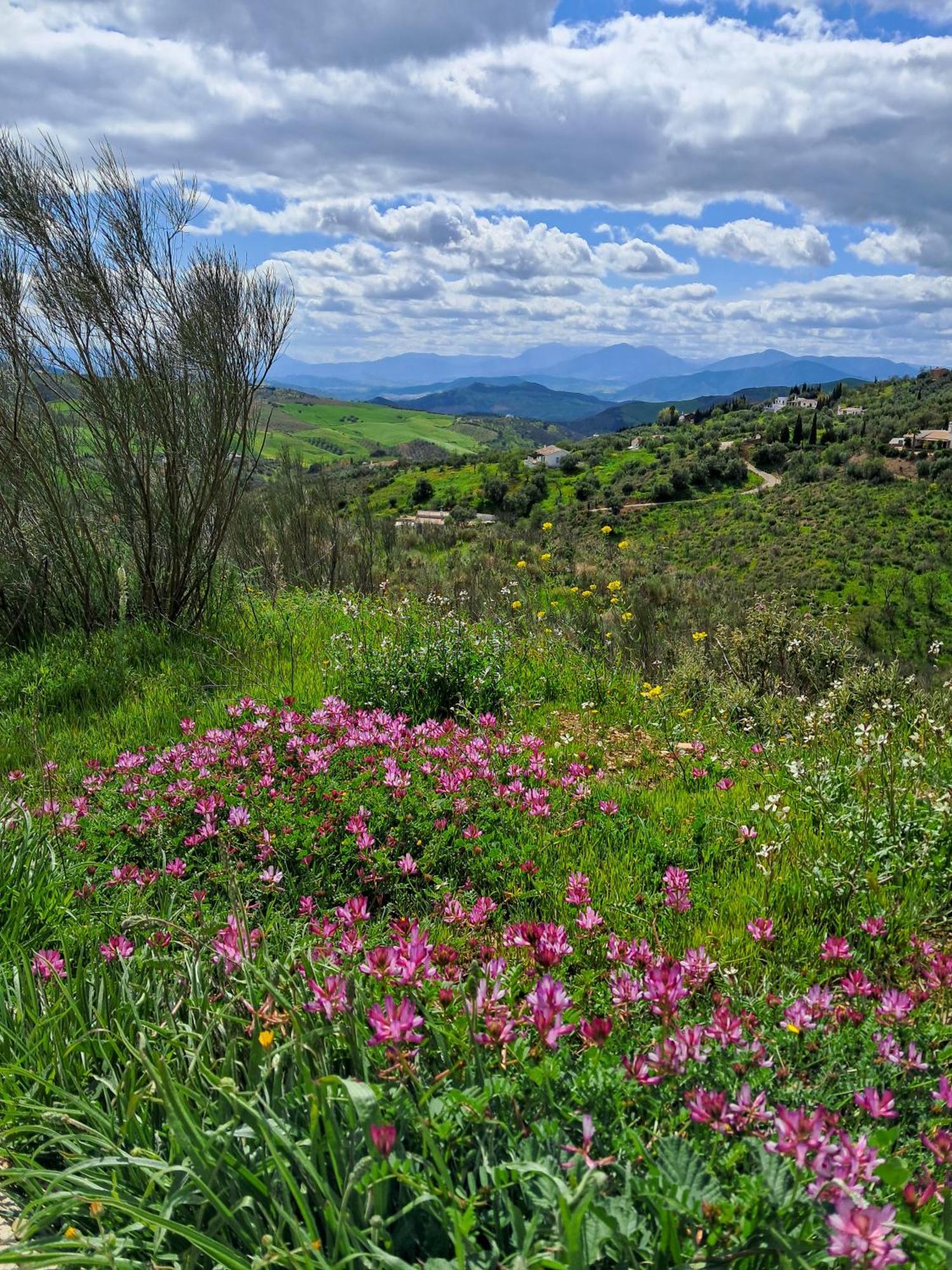 Villanueva de la Concepción Finca Amorosa المظهر الخارجي الصورة